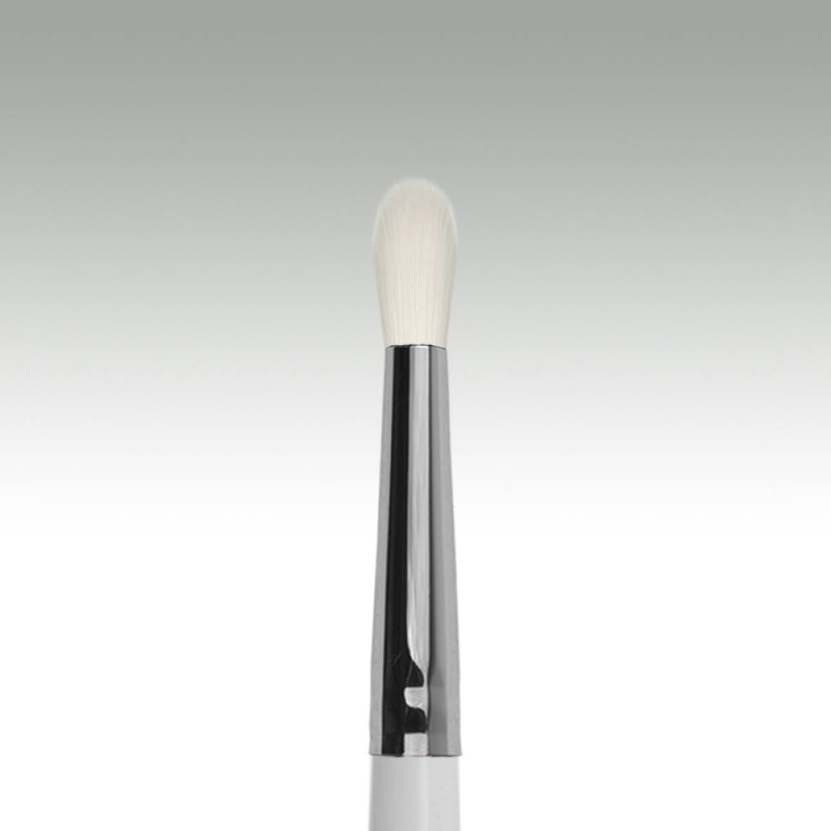 №209 - gsr06ml